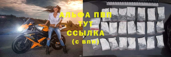 шишки Грязовец