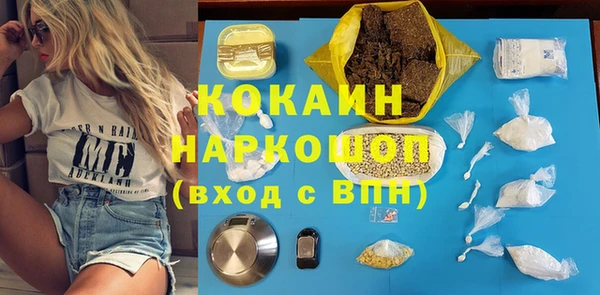 шишки Грязовец