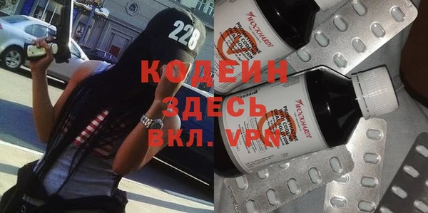 прущие грибы Балахна